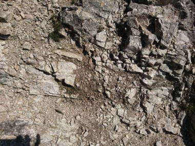 Grafik arkaplan olarak taş ve bitki yapısı mükemmel, çeşitli renklerde yapısal taşlar