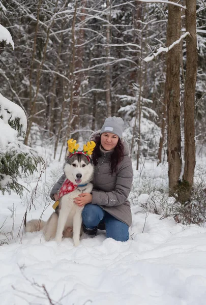 Mulher Bonita Jovem Senta Com Cão Husky Floresta Inverno Decorações — Fotografia de Stock
