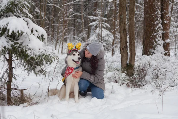 Mulher Bonita Jovem Senta Com Cão Husky Floresta Inverno Decorações — Fotografia de Stock