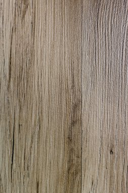 ağaç yakın çekim yapı