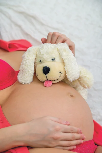 Stofftier auf dem Bauch eines schwangeren Mädchens — Stockfoto