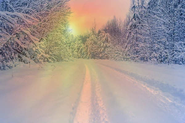 Вечером снежная дорога в зимнем лесу, солнце светит сквозь ветви — стоковое фото
