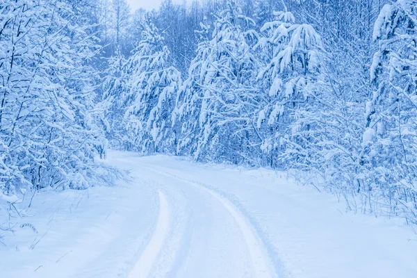 Snow-covered road in winter forest turns, toned blue — Stock Photo, Image