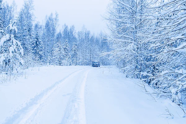 Evening snow road in winter forest, the car away, toned blue — Stock Photo, Image