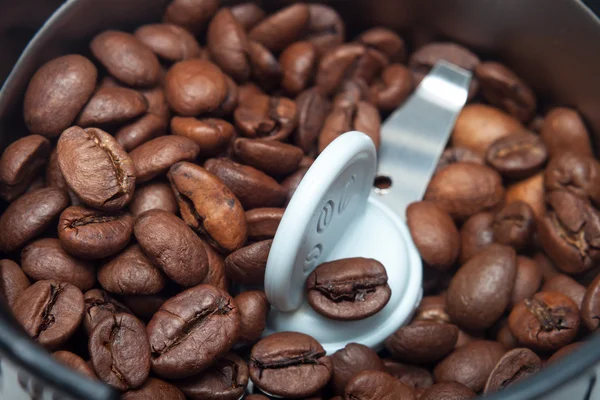 Macro elektrische grinder machine met koffie bonen — Stockfoto