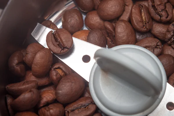 Kahve çekirdekleri ile makro elektrikli taşlama makinesi — Stok fotoğraf