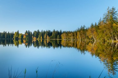 Eğitim Patikası Kladska (Glatzen) - Karlovy Vary bölgesinin en eski ve en büyük doğa rezervlerinden biri ve Korunmuş Peyzaj Bölgesi Slavkovsky Ormanı 'nın en değerli parçası-