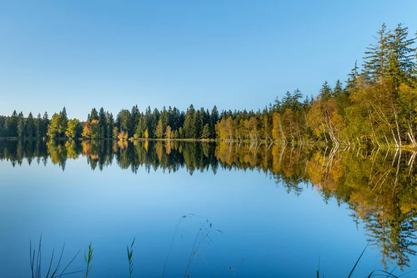 Educational Trail Kladska Glatzen One Oldest Largest Nature Reserves Karlovy — Stock Photo, Image