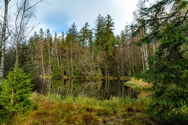 Educational Trail Kladska Glatzen One Oldest Largest Nature Reserves Karlovy — Stock Photo, Image