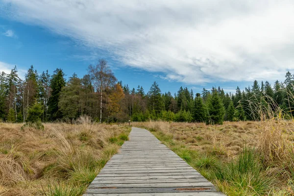 Eğitim Patikası Kladska (Glatzen) - Karlovy Vary bölgesinin en eski ve en büyük doğa rezervlerinden biri ve Korunmuş Peyzaj Bölgesi Slavkovsky Ormanı 'nın en değerli parçası-