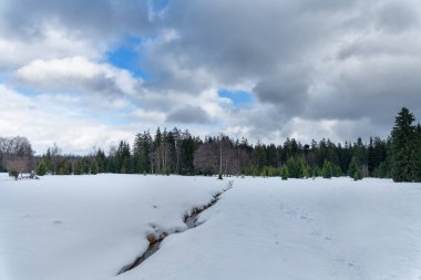Kış mevsiminde küçük batı bohem spa kasabası Marianske Lazne (Marienbad) yakınlarındaki Kladska doğal alanını karla korudu - Çek Cumhuriyeti, Avrupa