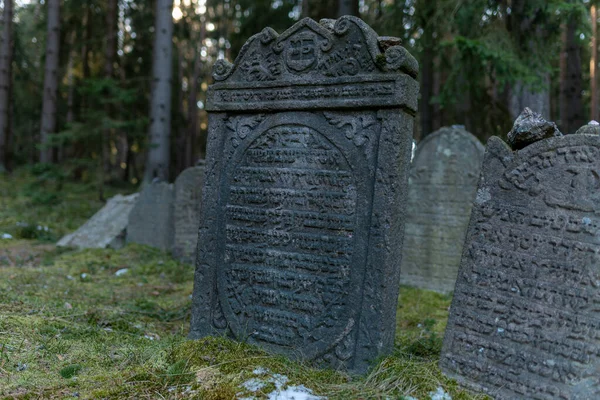 Drmoul Czechy Marca 2022 Stary Cmentarz Żydowski Lesie Niedaleko Miejscowości — Zdjęcie stockowe