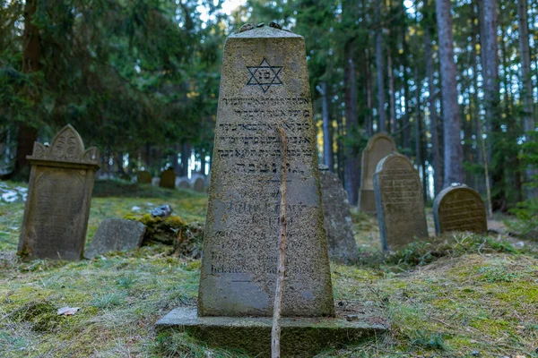 Drmoul Czech Republic March 2022 Old Jewish Cemetery Woods Village — Stock Photo, Image