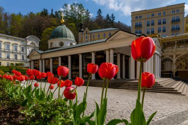 Marianske Lazne 'deki tuzlu Cross Spring' in (Marienbad) üstündeki sütunlu klasik pavyon 1817 ve 1818 yılları arasında inşa edilmiştir..