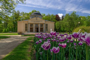 Frantikovy Lzn 'in (Franzensbad) merkez spa parkındaki Glauber maden suyu pınarları (Çekçe Dvorana Glauberovych övgü mönüsü) salonu - Çek Cumhuriyeti, Avrupa