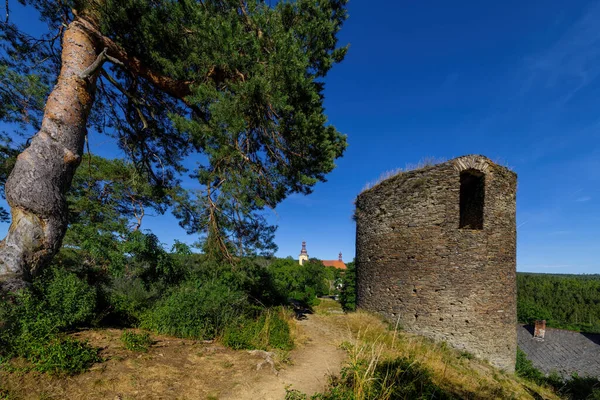 Ruins of Sychrov Castle - historical city Rabstejn nad Strelou - Czech Republic, Europe