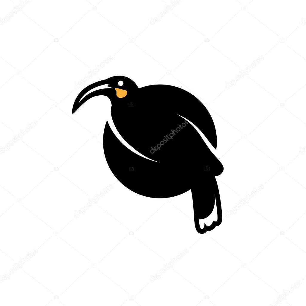 Ilustration design logo for rare huia bird icon. Vector illustration EPS.8 EPS.10