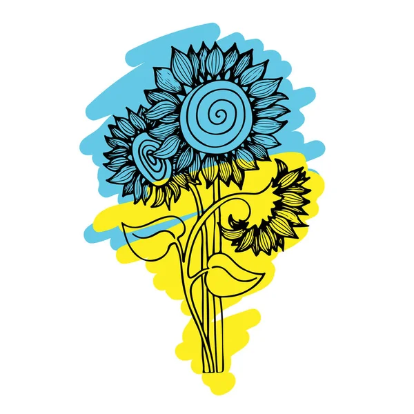 Three sunflower flowers with leaves hand drawn on the blue and yellow color of the flag of Ukraine