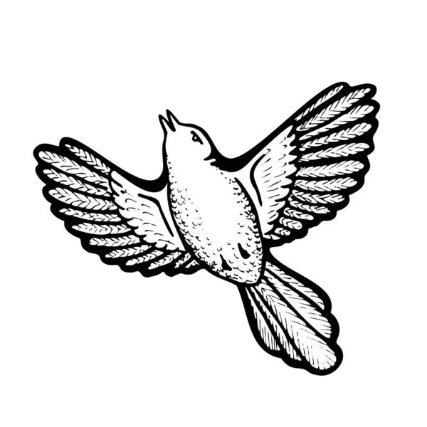 Black White Bird Flying Spread Wings Hand Drawn Doodle Sketch — стоковый вектор