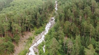 Vadideki kozalaklı ormanların arasında uzun bir nehir esiyor.