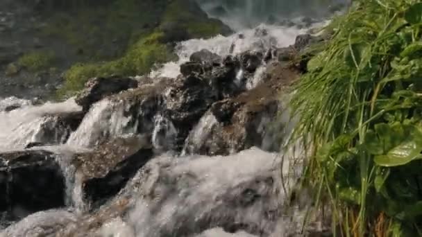 山河冲刷河岸上锋利的岩石和潮湿的植物 — 图库视频影像