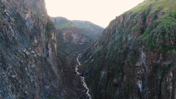 Vientos fluviales en cañón entre acantilados agudos con vegetación — Vídeo de stock