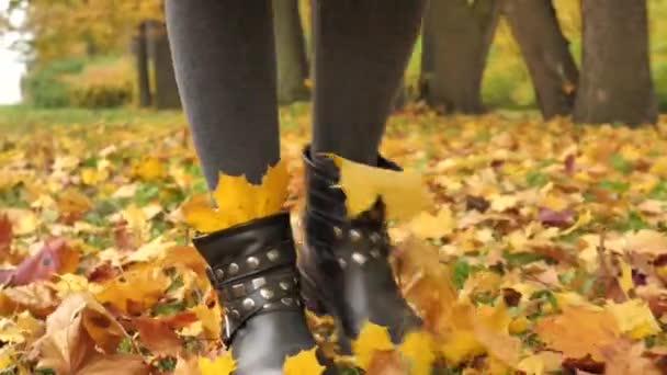 Женские ноги в стильных кожаных сапогах прогуливаются по осеннему парку и пинают желтые опавшие листья — стоковое видео