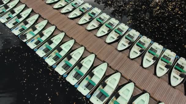 Flygfoto över en träbrygga med båtar på en sjö med höstlövverk i en stadspark — Stockvideo