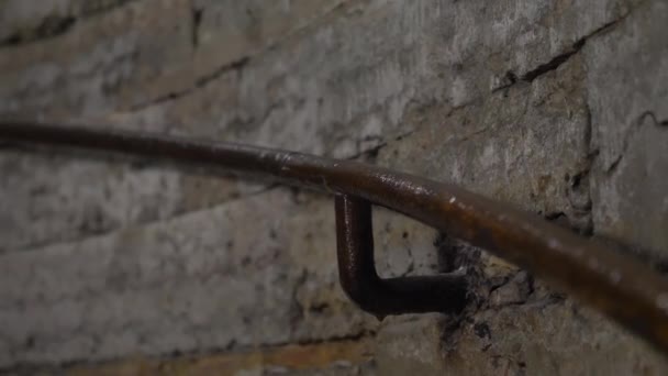 Adam gri tuğla duvara bağlı ıslak demir parmaklıklara tutunuyor. — Stok video