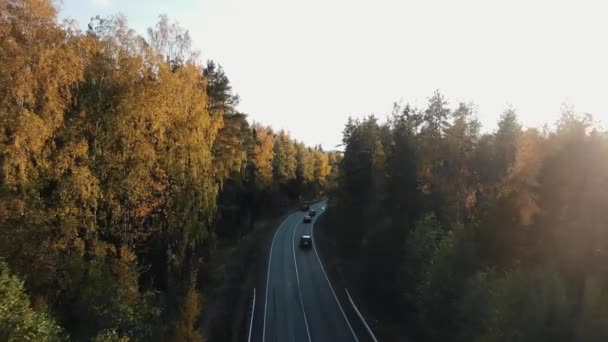 Auto 's rijden langs een weg die door het herfstbos loopt — Stockvideo