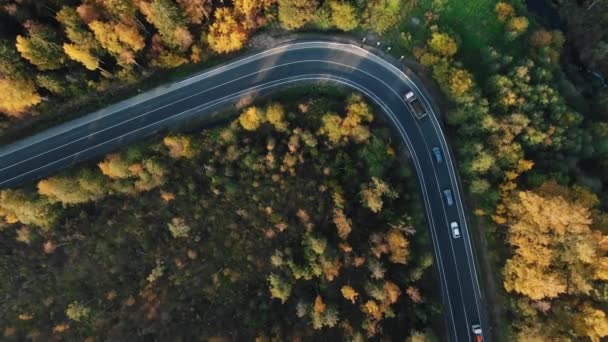 Widok z lotu ptaka na kolumnę samochodów jadących zakrzywioną drogą przez jesienny las — Wideo stockowe