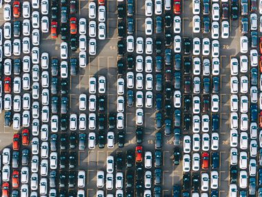 Otomobil fabrikasının bölgesindeki dev bir otoparkta yeni yolcu vagonları düz sırada duruyor.