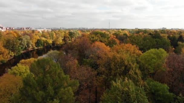 Parque da cidade com lago e folhas coloridas em árvores no outono — Vídeo de Stock
