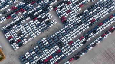 Motion past long rows of finished cars bird eye view