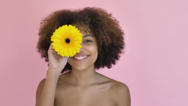 Hermosa joven afroamericana sostiene una flor amarilla en su cara y la gira delante de su ojo y sonríe, mirando a la cámara — Vídeos de Stock