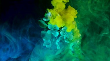 Yellow paint flows in water spreading around tree branch and mixing with blue. Bright color dissolves underwater against black surface macro slow motion