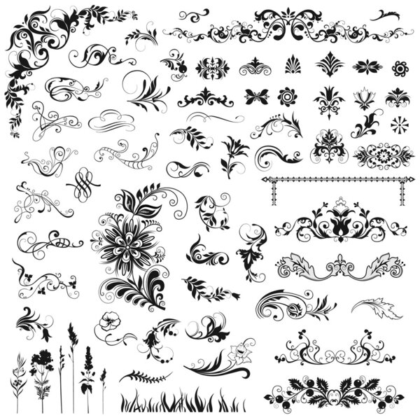 Set of vector floral elements