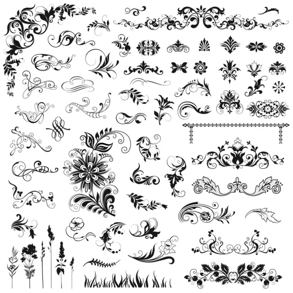 Conjunto de elementos florais vetoriais Gráficos Vetores