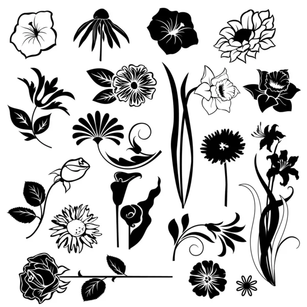 Set of flower design elements isolated on white background — Stock Vector