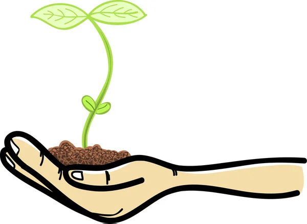 Vector hand holding sapling in soil — Stock Vector