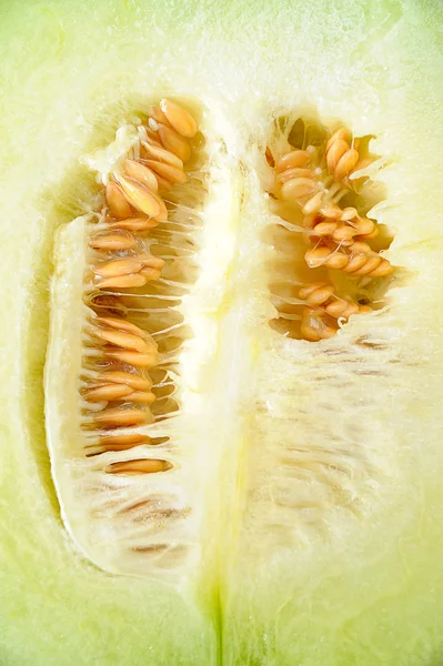 Melon frais — Photo