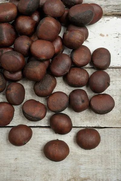 Chestnut — Stock Photo, Image