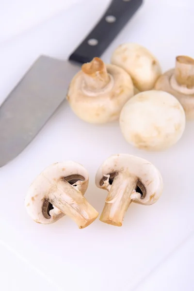 Champignon Ordförande — Stockfoto