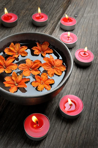 Flowers in bowl — Stock Photo, Image