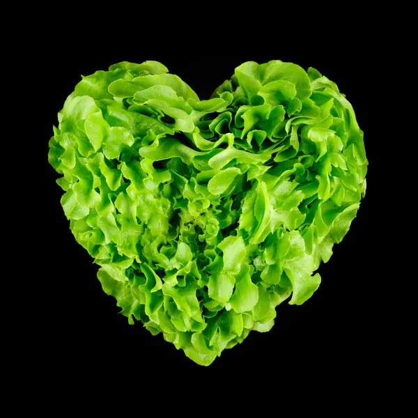 Lettuce — Stock Photo, Image