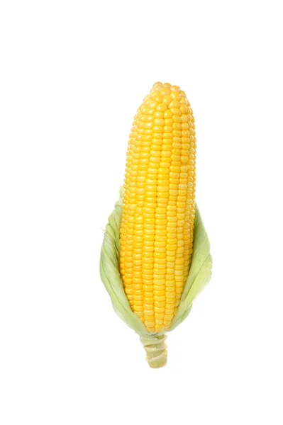 Кукуруза — стоковое фото