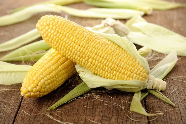 Corn — Stock Photo, Image