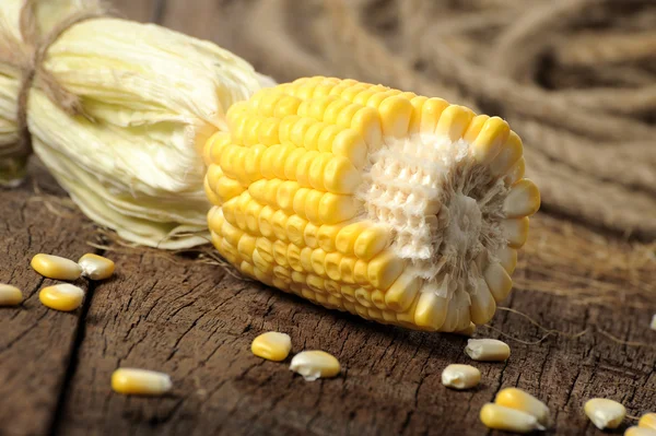 Corn — Stock Photo, Image