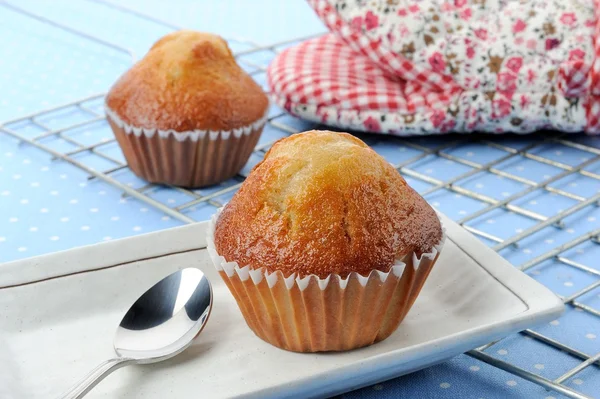 Banana cup cake — Stock Photo, Image