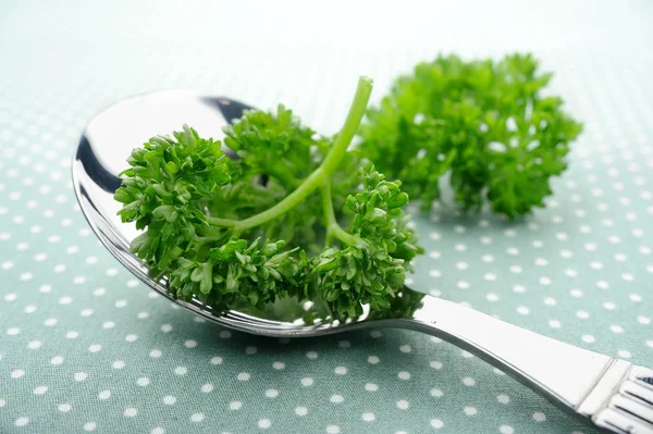 Parsley — Stock Photo, Image